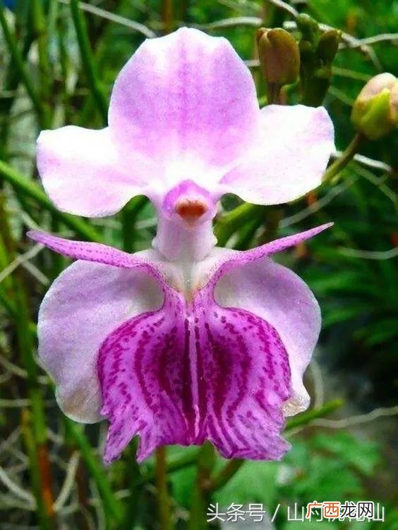 创业者应具备六大核心能力 创业者的素质