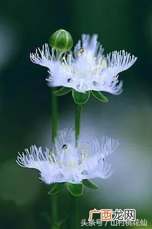 创业者应具备六大核心能力 创业者的素质