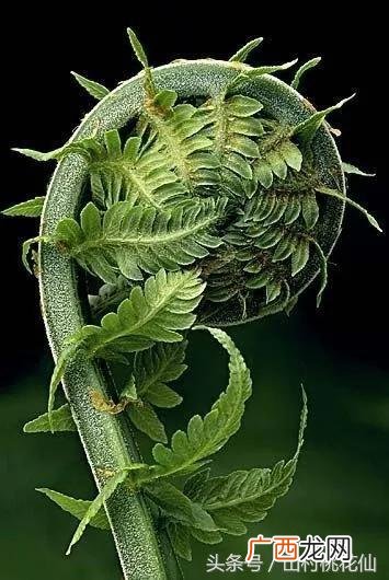 创业者应具备六大核心能力 创业者的素质