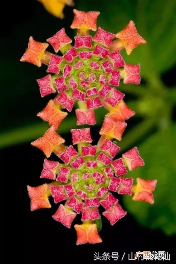 创业者应具备六大核心能力 创业者的素质