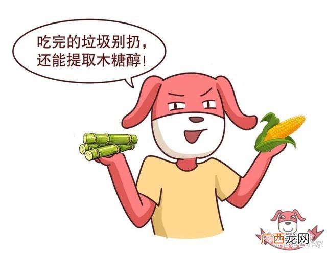 代糖有热量吗,甜菊糖热量