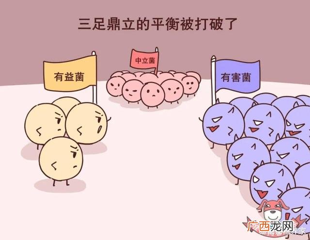代糖有热量吗,甜菊糖热量