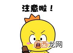 徐州创业网,徐州创业政府网