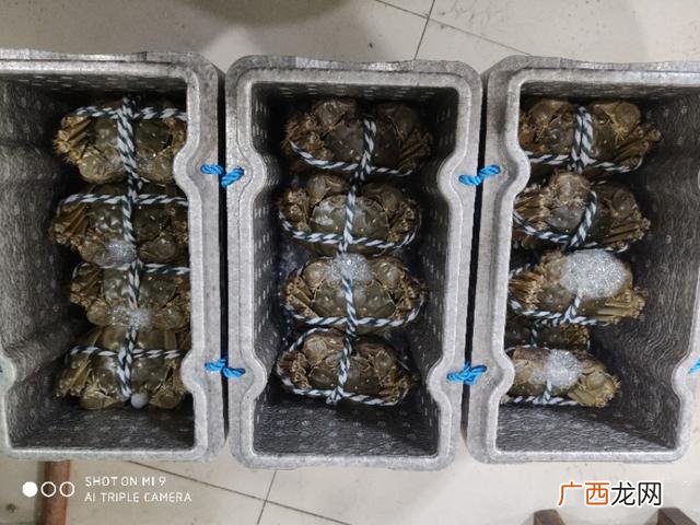 新手做代理怎么找客源 现在做代理什么产品最赚钱