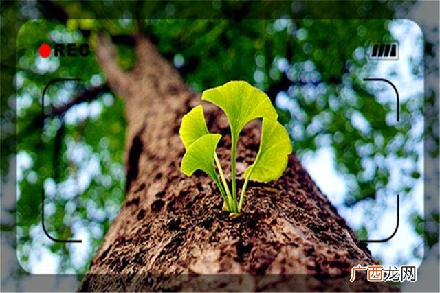 欠很多钱怎样走出困境 创业失败迷茫