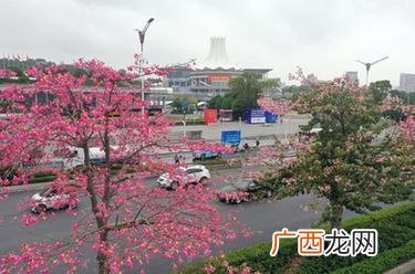 加热餐车图片 保温快餐车