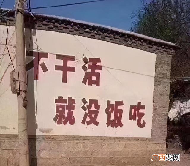 抖音新骗局 别被套路了 带你创业的人