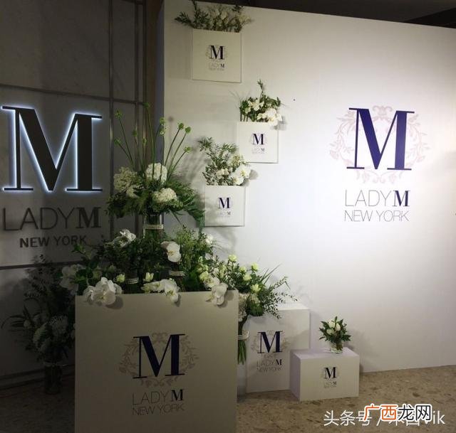 上海ladym价目表 整个 日本kumo蛋糕加盟