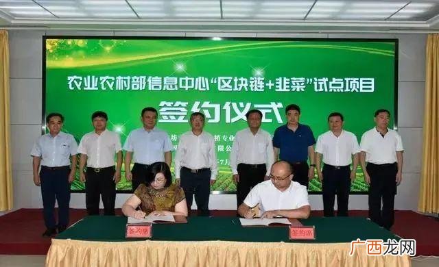 未来10大暴利种植,新型农业创业项目