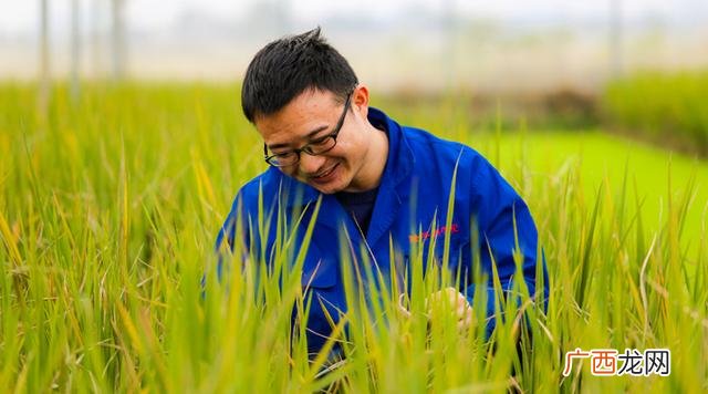 未来10大暴利种植,新型农业创业项目