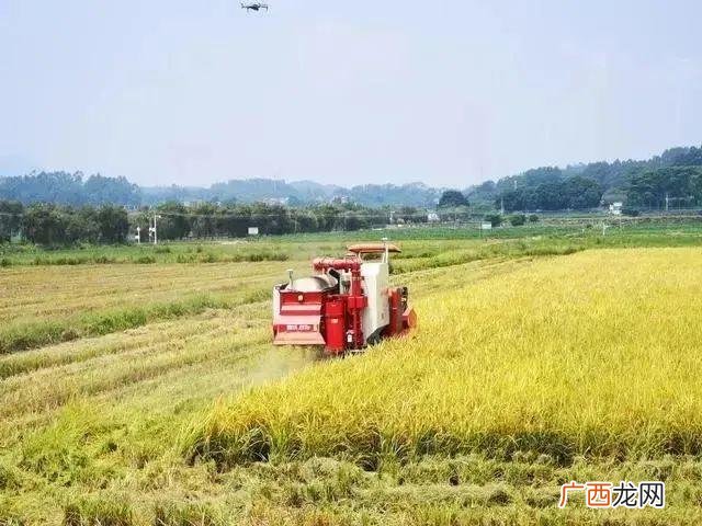 未来10大暴利种植,新型农业创业项目