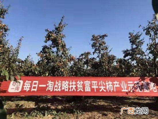 每日一淘app下载安装 每日一淘是什么平台