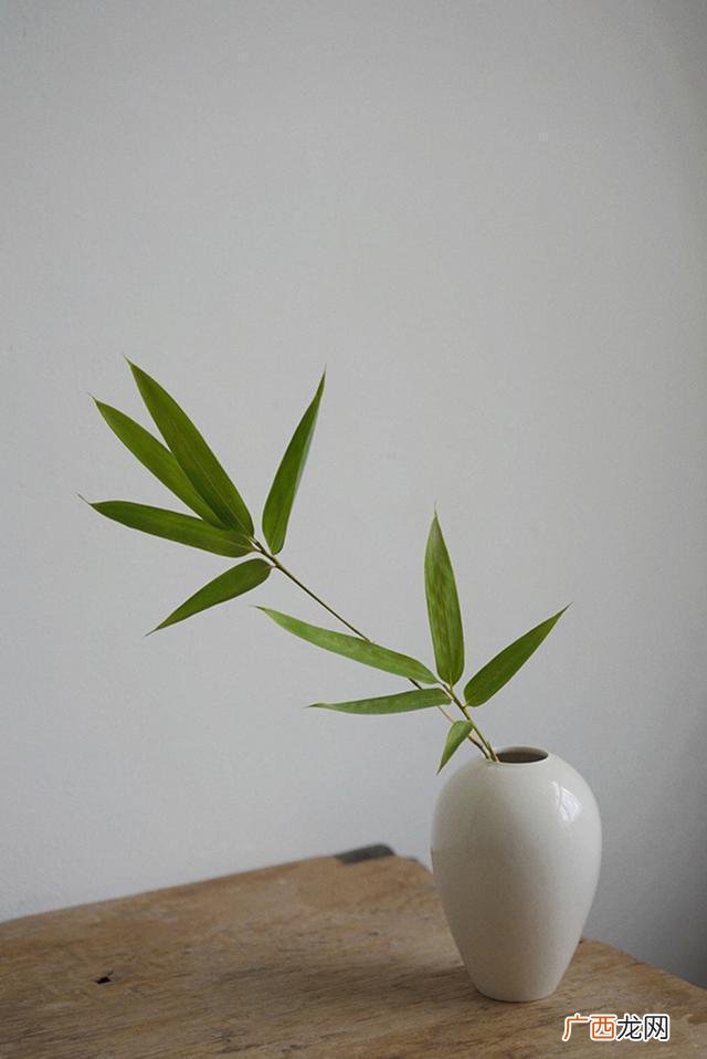 心情说说短语 随心 迷茫的句子说说心情