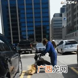 在线3d动物模拟内购破解版,野生动物模拟器无限金币钻石