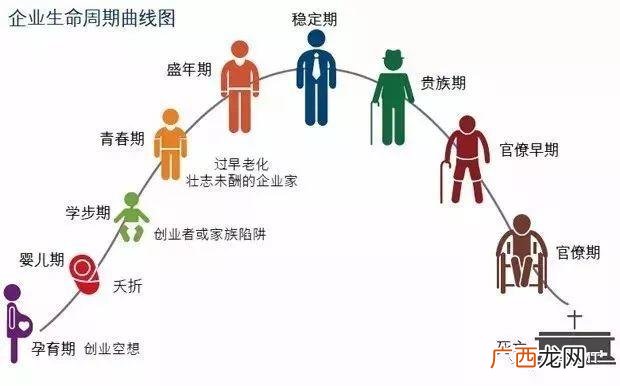 王玥的个人资料,创业邦王玥老婆