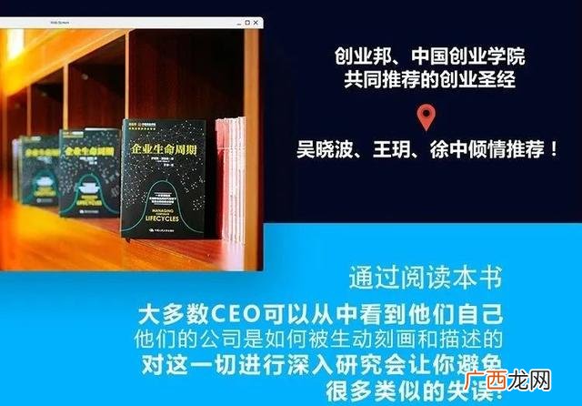 王玥的个人资料,创业邦王玥老婆