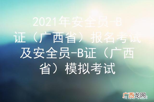 安全员挂靠 项目经理安全b证查询