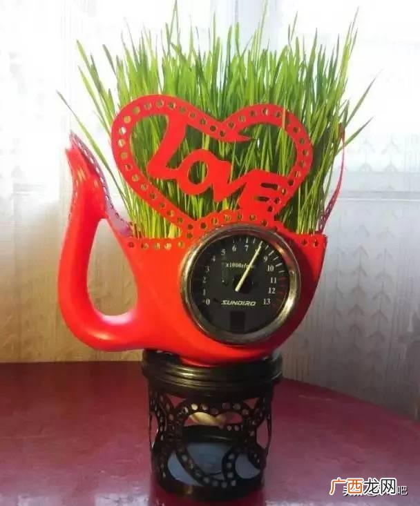 洗衣液桶改造花盆简单教程,洗衣液瓶改花盆的制作过程