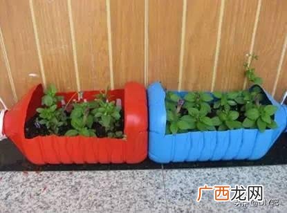 洗衣液桶改造花盆简单教程,洗衣液瓶改花盆的制作过程