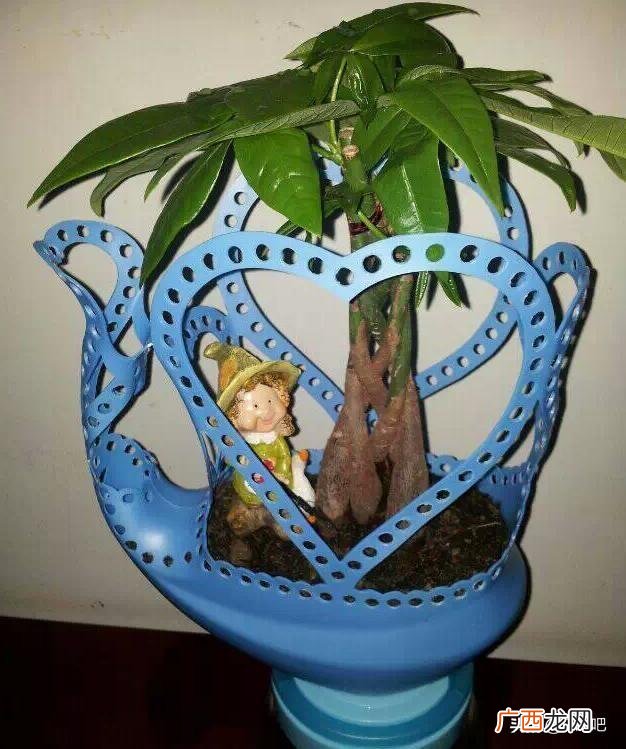 洗衣液桶改造花盆简单教程,洗衣液瓶改花盆的制作过程