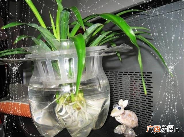 洗衣液桶改造花盆简单教程,洗衣液瓶改花盆的制作过程