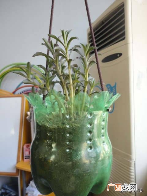 洗衣液桶改造花盆简单教程,洗衣液瓶改花盆的制作过程