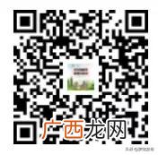 创业大厦石碑现象 罗定创业大厦
