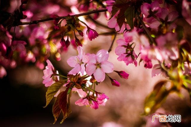 感动自己的励志句子,励志感动的句子