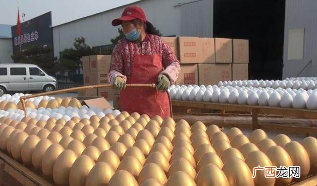 年利润三十万小作坊 实业创业加工项目