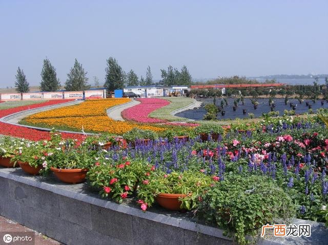 临沂一次性餐具批发市场 一次性碗筷批发市场