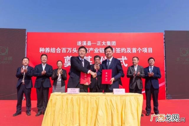 正大代养猪利润怎么样 养猪创业故事