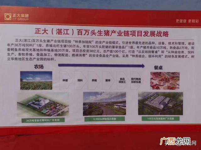 正大代养猪利润怎么样 养猪创业故事