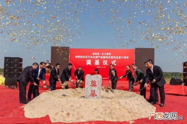 正大代养猪利润怎么样 养猪创业故事