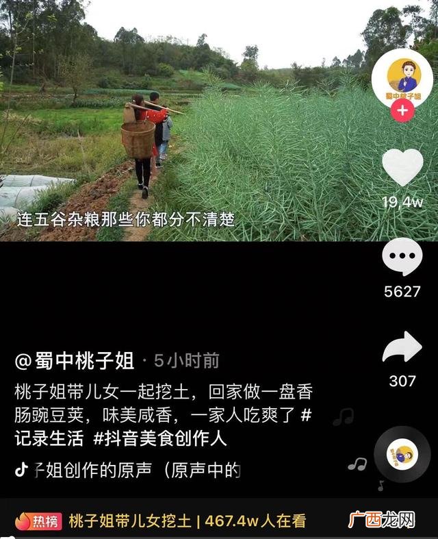 桃子姐的粉丝群体,桃子姐创业