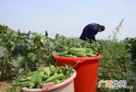 利润高不起眼的小生意,创业白手起家