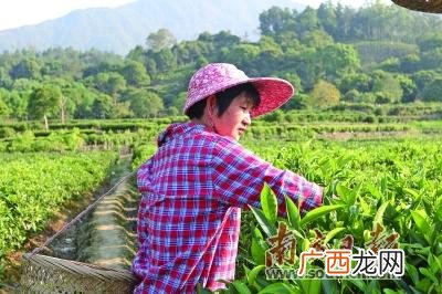 创业英雄汇嘉宾,粤东创业英雄会