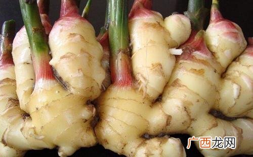 生姜亩产量一般能达到多少 嫩姜种植亩产10万元