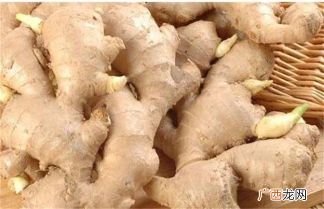 生姜亩产量一般能达到多少 嫩姜种植亩产10万元