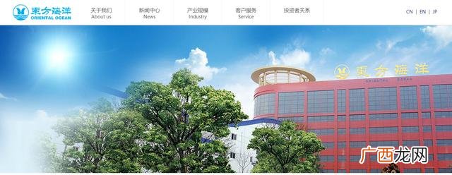海参哥为什么封号,抖音参哥创业是真的吗