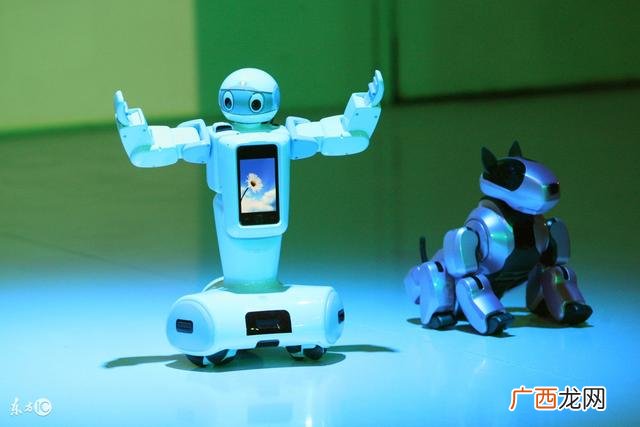 完整的创业计划书范例,校园健身房创业计划书模板