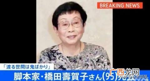 信子 日本电视剧 阿信创业经历