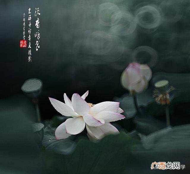 现代创业诗词 关于创业诗句