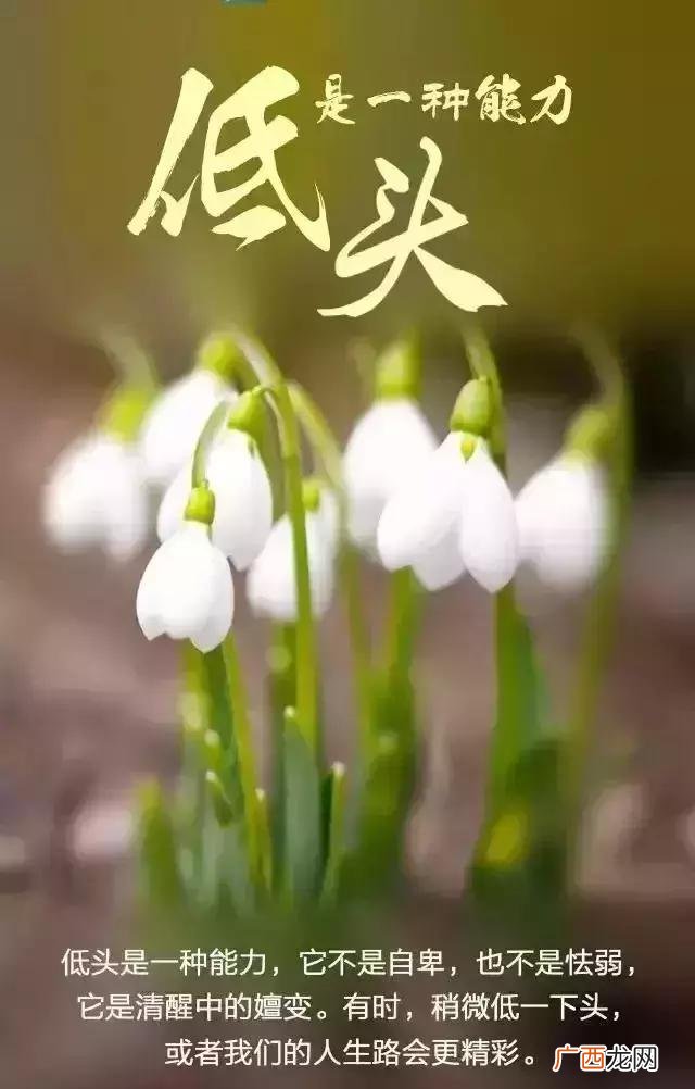 正能量激励人的好句子 创业心灵鸡汤经典语录励志
