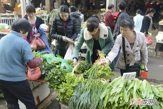 短期培训有哪些专业 成人短期技能培训学校