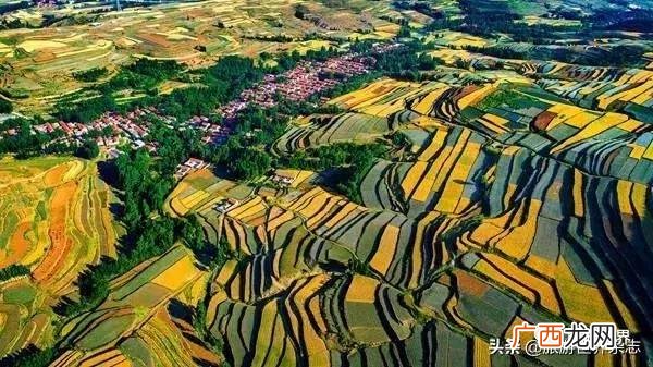 改革在身边手机摄影大赛,孔子故乡山东网络摄影大赛