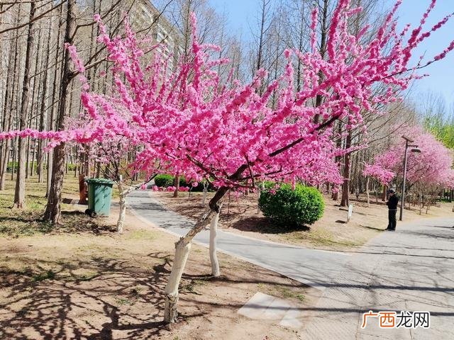 四十岁女人就业方向 适合四十岁女人的职业