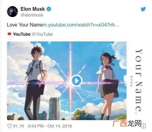 特斯拉 埃隆马斯克,特斯拉中国ceo