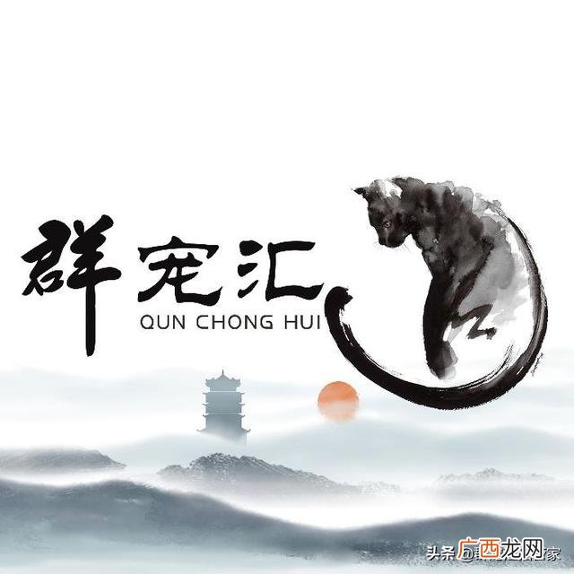创新创业心得体会300字 创新创业心得体会800字左右