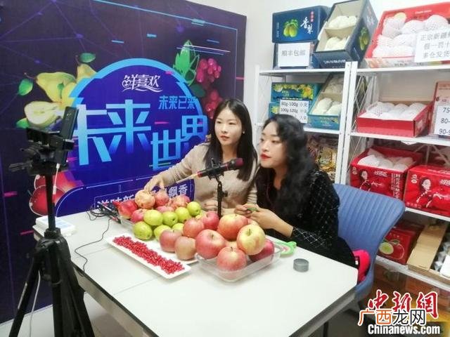 新疆现在有什么好项目创业,去新疆创业