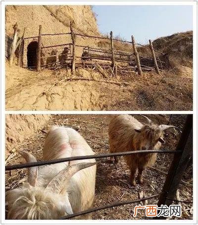 威威叔叔 谈威威